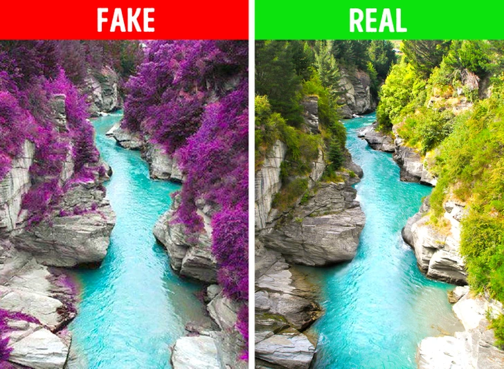 6 Tips to Spot a Fake Image and Not Let Photoshoppers Fool You